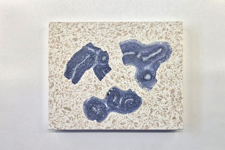 Terrazzo met ingelegde stukken blauw koraal en zichtbaar koraal patronen. Terrazzo met ingelegde stukken blauw koraal en zichtbaar koraal patronen.
